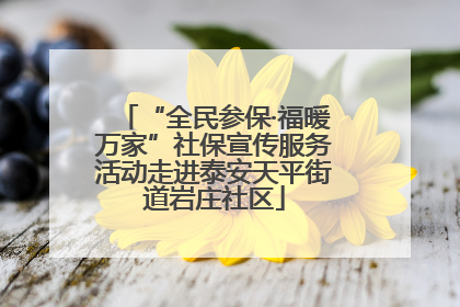 “全民参保·福暖万家”社保宣传服务活动走进泰安天平街道岩庄社区